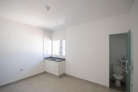 Studio de apartamento para alugar com 1 quarto, 11m² em Vila Maria Baixa, São Paulo
