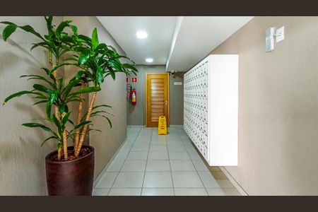 Apartamento à venda com 74m², 3 quartos e 1 vaga Apartamento à venda com 74m², 3 quartos e 1 vagaHall do predio