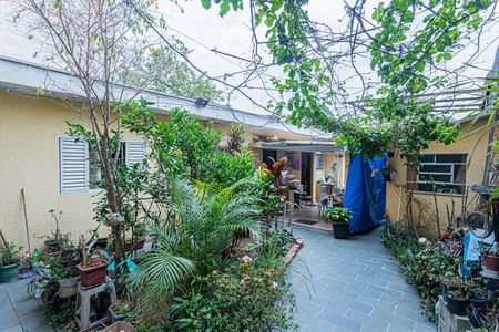 Casa para alugar com 330m², 5 quartos e 2 vagasQuintal