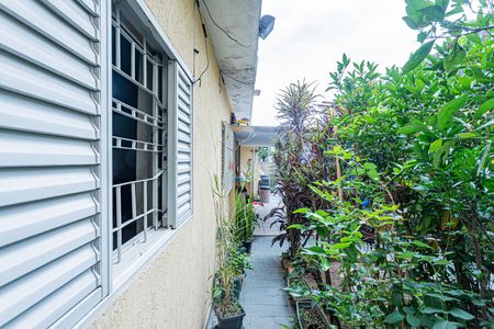 Casa para alugar com 330m², 5 quartos e 2 vagasQuintal