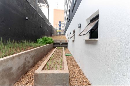 Apartamento à venda com 34m², 2 quartos e sem vagaÁrea Comum - Horta Comunitária