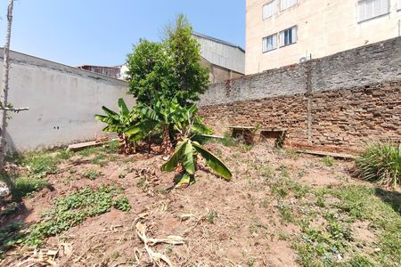Quintal - Jardim de casa à venda com 3 quartos, 195m² em Jardim Campos Eliseos, Campinas