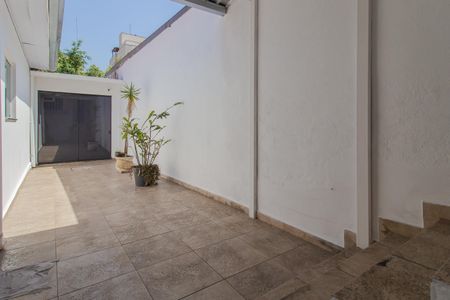 Casa para alugar com 300m², 8 quartos e 3 vagasQuintal
