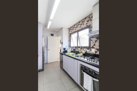 Apartamento para alugar com 167m², 3 quartos e 2 vagasCozinha