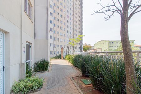 Apartamento para alugar com 41m², 2 quartos e 1 vaga Apartamento para alugar com 41m², 2 quartos e 1 vagaÁrea comum