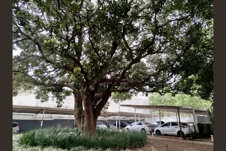 Apartamento à venda com 70m², 3 quartos e 1 vagaFachada