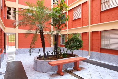 Apartamento para alugar com 45m², 2 quartos e 1 vagaÁrea comum