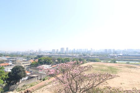 Sacada Vista de apartamento à venda com 2 quartos, 48m² em Socorro, São Paulo