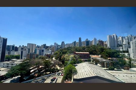 Vista de apartamento para alugar com 2 quartos, 78m² em Sion, Belo Horizonte