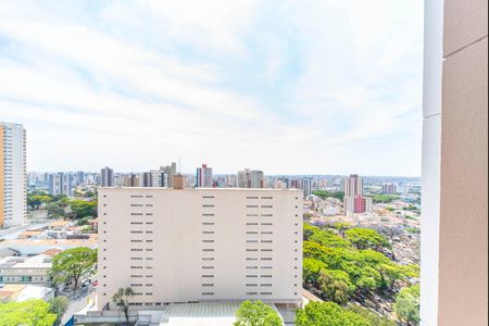 Apartamento à venda com 65m², 3 quartos e 2 vagasVista da Varanda 