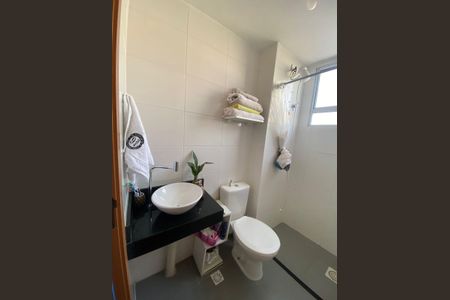 Banheiro de apartamento à venda com 2 quartos, 48m² em Morro Santana, Porto Alegre