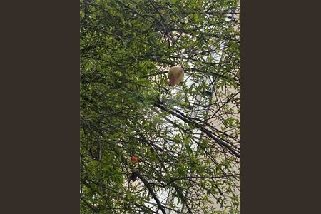 Apartamento à venda com 40m², 1 quarto e 1 vaga