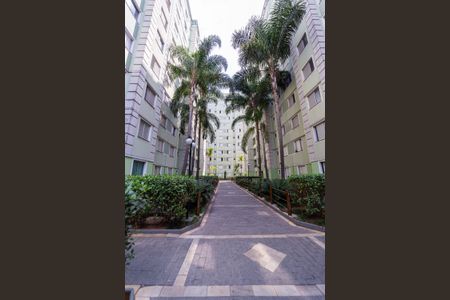 Apartamento à venda com 43m², 2 quartos e 1 vaga Apartamento à venda com 43m², 2 quartos e 1 vagaÁrea comum