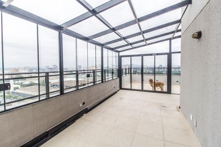 Apartamento à venda com 153m², 3 quartos e 3 vagasÁrea gourmet