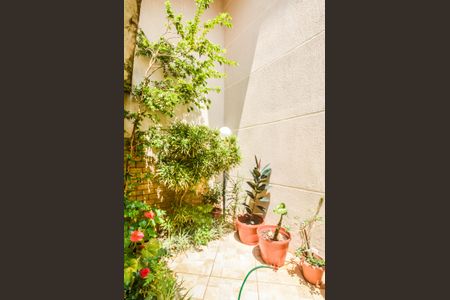 Casa à venda com 400m², 3 quartos e 2 vagasQuintal