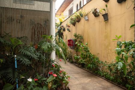 Casa à venda com 250m², 3 quartos e 3 vagasJardim