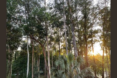 Vista do Quarto 2 de apartamento à venda com 5 quartos, 365m² em Jardim Luzitania, São Paulo