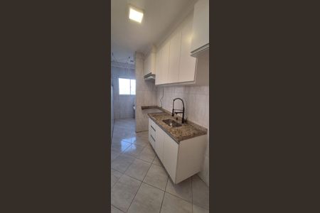 Cozinha de apartamento para alugar com 3 quartos, 65m² em Vila Curuçá, Santo André
