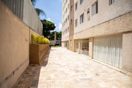 Apartamento para alugar com 62m², 3 quartos e 2 vagas Apartamento para alugar com 62m², 3 quartos e 2 vagasÁrea comum