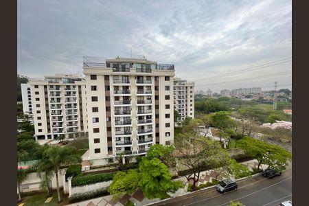 Apartamento à venda com 142m², 3 quartos e 3 vagasVista