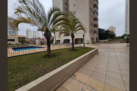 Área comum - Piscina de apartamento para alugar com 1 quarto, 48m² em Jardim Caravelas, São Paulo