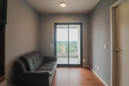 Sala de kitnet/studio para alugar com 1 quarto, 28m² em Butantã, São Paulo