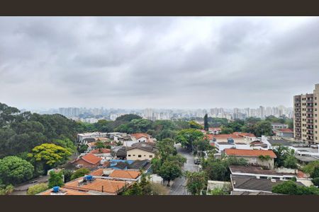 Apartamento à venda com 328m², 3 quartos e 3 vagasVista Varanda