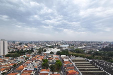 Apartamento para alugar com 64m², 3 quartos e 1 vaga Apartamento para alugar com 64m², 3 quartos e 1 vagaVista - Quarto 3