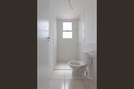 Banheiro Social de apartamento para alugar com 2 quartos, 44m² em Mantiqueira, Belo Horizonte