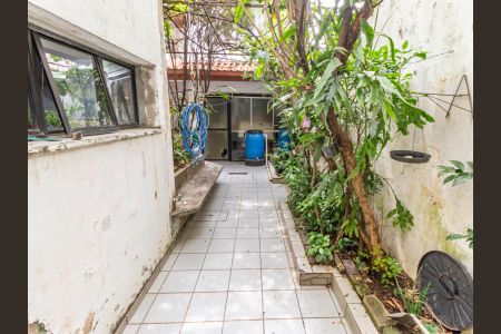 Casa para alugar com 350m², 4 quartos e 3 vagasQuintal e Churrasqueira