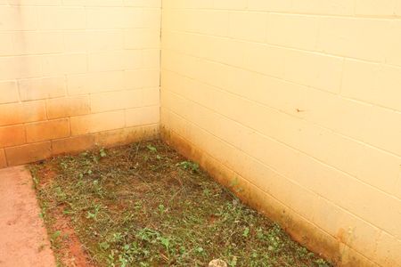 Casa de condomínio para alugar com 80m², 2 quartos e 1 vagaVista da Cozinha