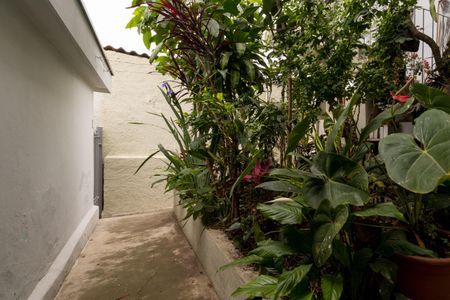 Casa para alugar com 500m², 2 quartos e sem vagaJardim