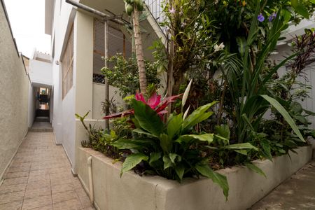 Casa para alugar com 500m², 2 quartos e sem vagaJardim