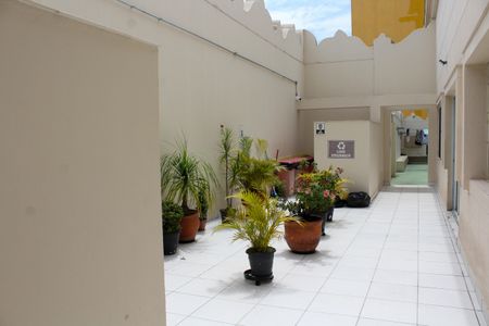 Apartamento para alugar com 56m², 2 quartos e sem vaga Apartamento para alugar com 56m², 2 quartos e sem vagaÁrea comum