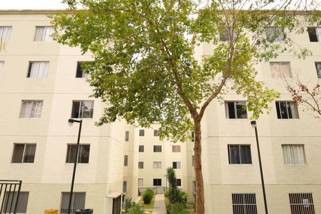 Apartamento à venda com 53m², 2 quartos e 1 vagaÁrea comum - Prédios