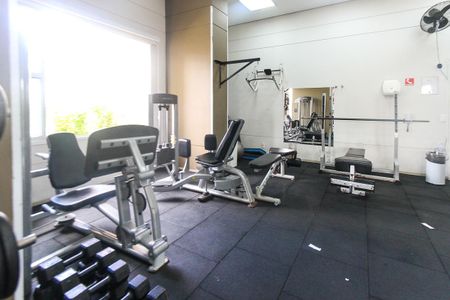 Apartamento à venda com 63m², 2 quartos e 1 vaga Apartamento à venda com 63m², 2 quartos e 1 vagaÁrea comum - Academia