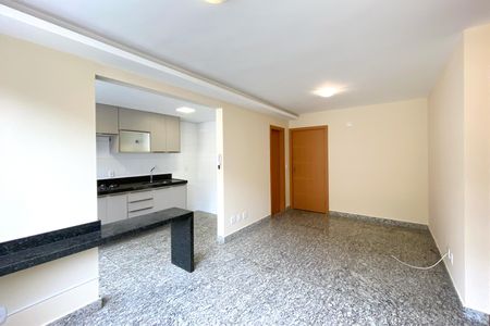 Sala de apartamento para alugar com 2 quartos, 65m² em Serra, Belo Horizonte