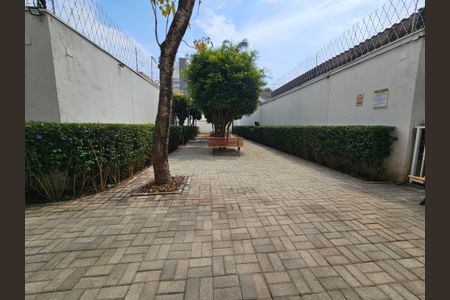 Apartamento para alugar com 80m², 2 quartos e 2 vagasPetplace