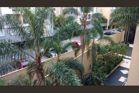 Apartamento à venda com 3 quartos, 76m² em Vila Sofia, São Paulo