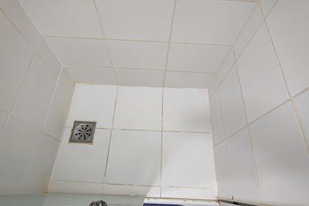 Apartamento à venda com 60m², 2 quartos e 1 vaga Apartamento à venda com 60m², 2 quartos e 1 vagaBanheiro da Suíte