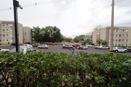 Apartamento para alugar com 49m², 2 quartos e 1 vagaVista do Quarto 2