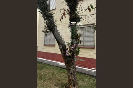 Apartamento à venda com 55m², 2 quartos e sem vaga