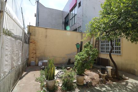 Casa para alugar com 300m², 3 quartos e 3 vagasÁrea comum