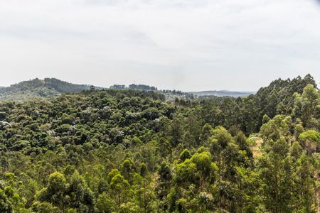 Apartamento à venda com 202m², 3 quartos e 3 vagasVista da Suíte 3