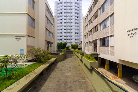 Apartamento à venda com 100m², 3 quartos e 1 vagaAcesso as torres