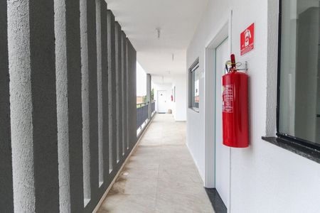 Apartamento para alugar com 50m², 2 quartos e sem vaga Apartamento para alugar com 50m², 2 quartos e sem vagaÁrea Externa