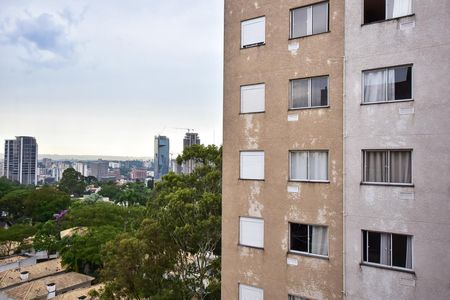 Vista da Suíte de apartamento para alugar com 1 quarto, 24m² em Paraíso do Morumbi, São Paulo