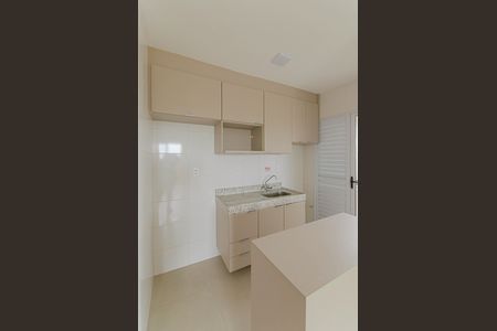 Cozinha de apartamento para alugar com 2 quartos, 53m² em Vila Carioca, São Paulo