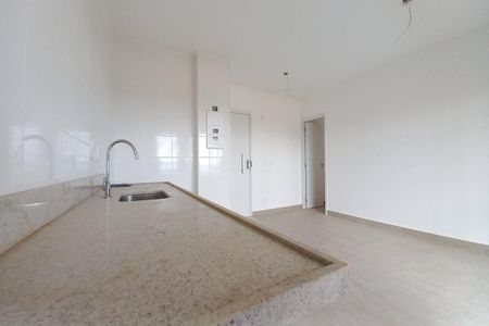 Apartamento para alugar com 66m², 2 quartos e 1 vaga Apartamento para alugar com 66m², 2 quartos e 1 vagaCozinha