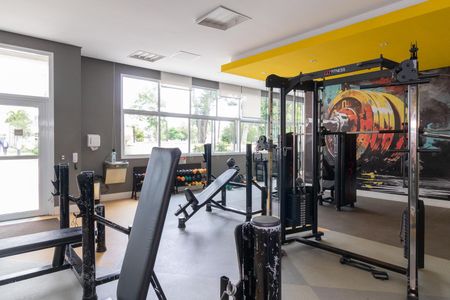 Apartamento para alugar com 72m², 3 quartos e 2 vagasÁrea comum - Academia